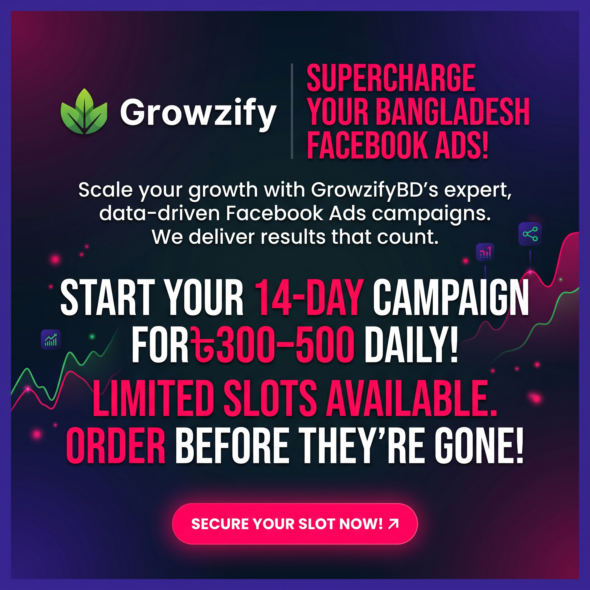 Professional Facebook Ads Management